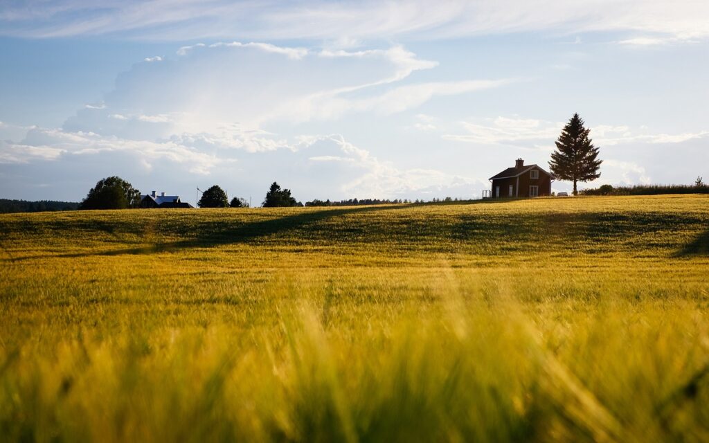 barn, farm, field-1850690.jpg