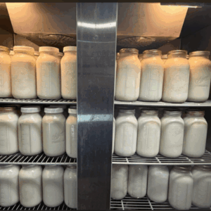 A2/A2 Raw Jersey Milk Avery Ranch Location