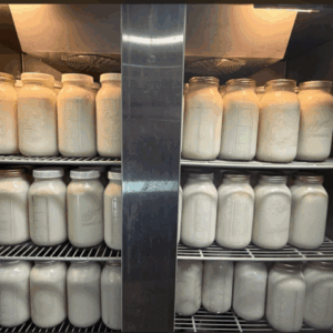 A2/A2 jersey raw milk Palmera ridge blvd location